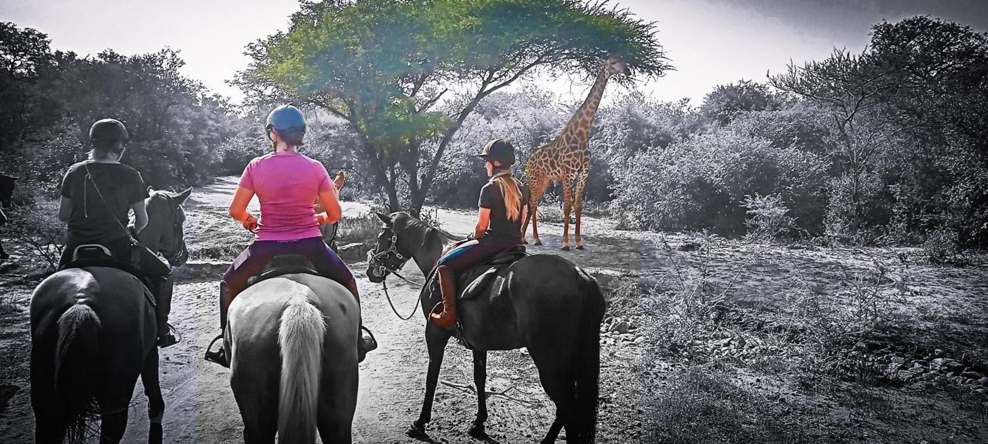 Call Of The Wild Lodge Hoedspruit Εξωτερικό φωτογραφία